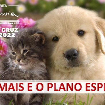 OS ANIMAIS E O PLANO ESPIRITUAL – CECX 06/09/2022