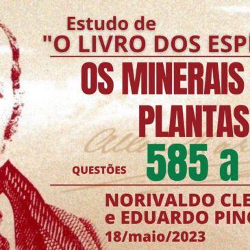 Estudando “O LIVRO DOS ESPÍRITOS” q 585 a 591 – CECX 18/05/2023